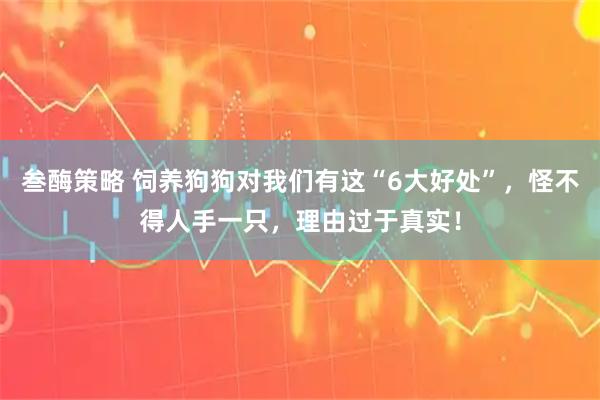 叁酶策略 饲养狗狗对我们有这“6大好处”，怪不得人手一只，理由过于真实！